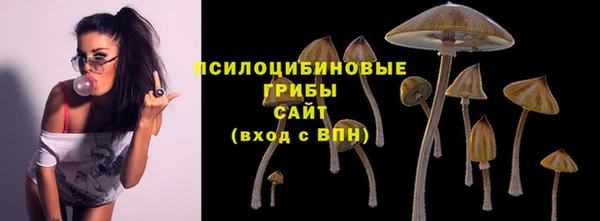гидра Волоколамск