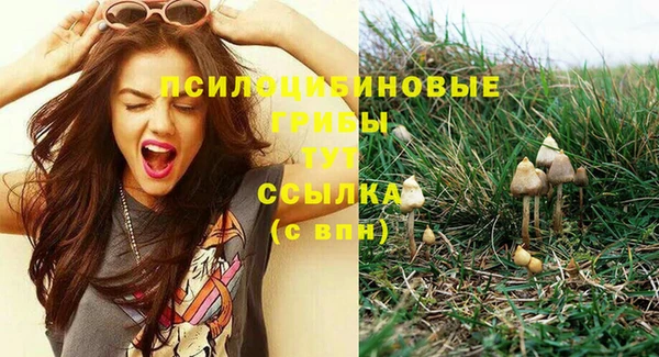 PSILOCYBIN Волосово