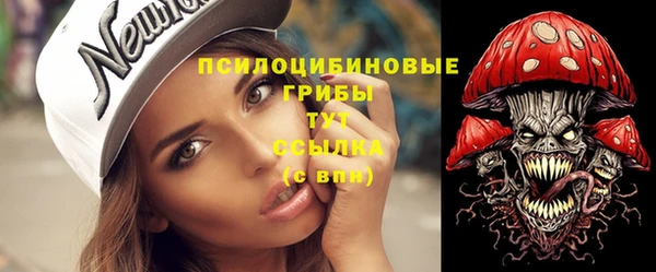 гидра Волоколамск