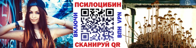 Псилоцибиновые грибы MAGIC MUSHROOMS  дарнет шоп  Новоржев 